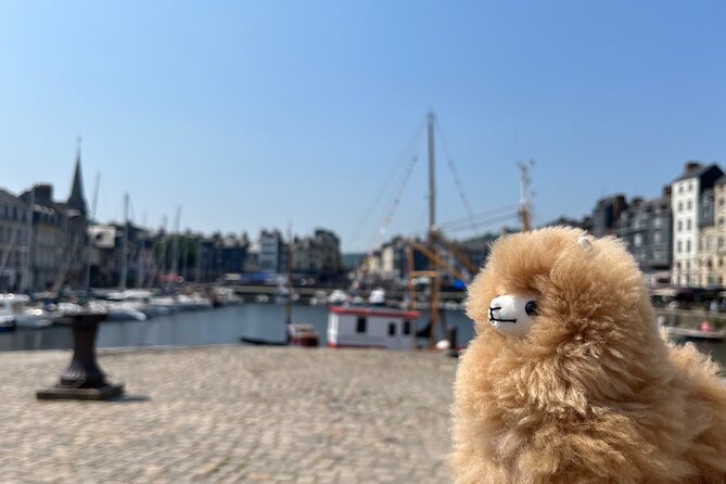 Private Guided Tour In Normandy - Rouen, Honfleur, Etretat - Stop 4: Rouen with bell towers, Monet connections, and Joan of Arc sites