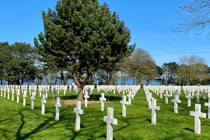 Private Normandy D-Day Live guided Top 6 Sites trip from Paris - The American Cemetery at Colleville-sur-Mer: quiet, detailed, and close to Omaha