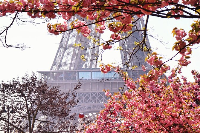 Private Photo Tour in Paris with a Professional Photographer - What This Private Photo Tour Gets Right in Paris