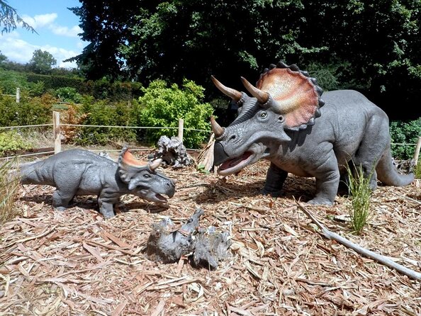 Private Return Transfer Thoiry Zoo Safari from Paris - Key Highlights at a Glance