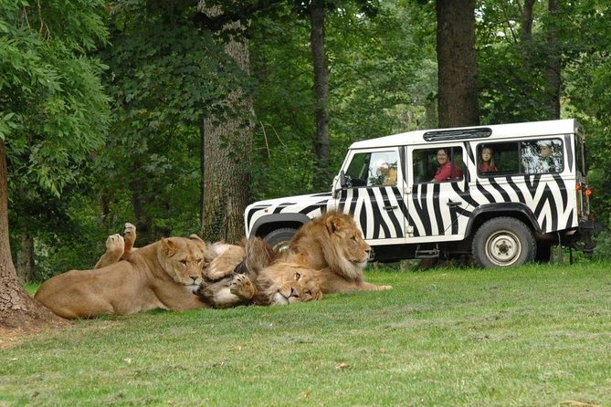 Private Return Transfer Thoiry Zoo Safari from Paris - Thoiry’s Safari and Zoo: One Ticket, Real Animal Variety