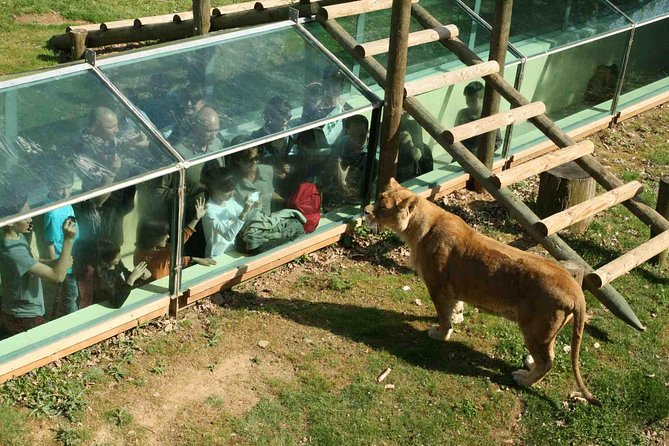 Private Return Transfer Thoiry Zoo Safari from Paris - The Park’s Best Pacing: Maze, Botanical Garden, and Stops Between