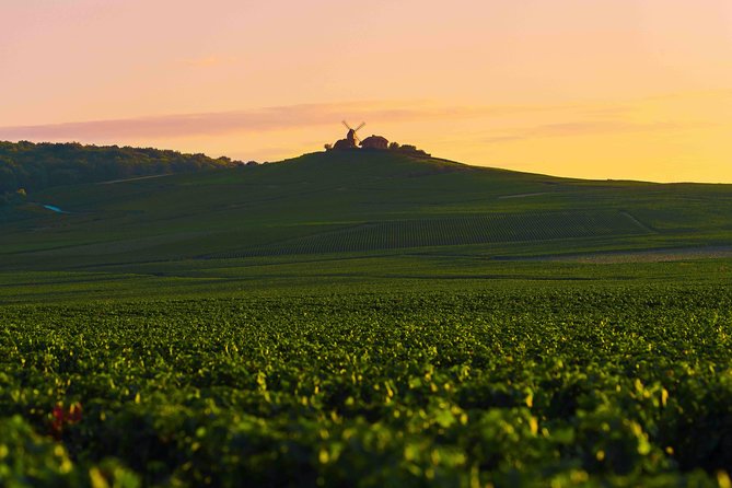 Private tour of the Champagne area, meet local producers and taste their Champagne, start from your hotel in Paris. - Why a private Champagne tour from Paris actually feels worth it