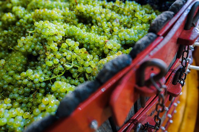 Private tour of the Champagne area, meet local producers and taste their Champagne, start from your hotel in Paris. - Hautvillers and Dom Pérignon: the Champagne origin stop you shouldn’t skip