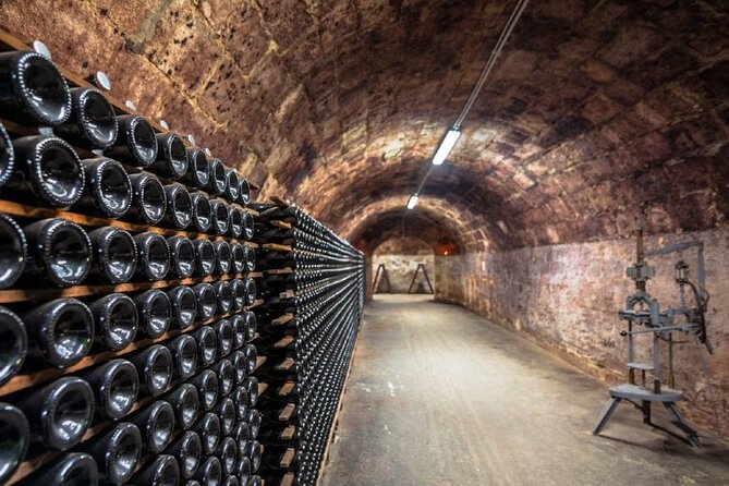 Private tour of the Champagne area, meet local producers and taste their Champagne, start from your hotel in Paris. - Damery family-producer visit: where you can buy bottles like a local