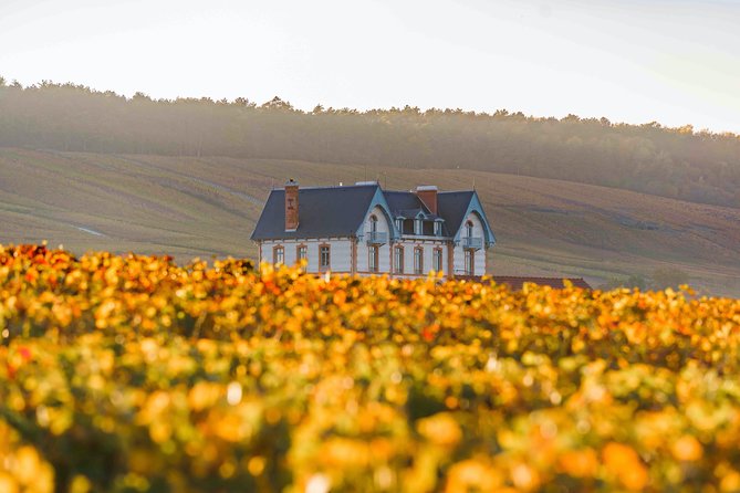 Private tour of the Champagne area, meet local producers and taste their Champagne, start from your hotel in Paris. - The Champagne cellar stop: big-house prestige, plus real tasting time