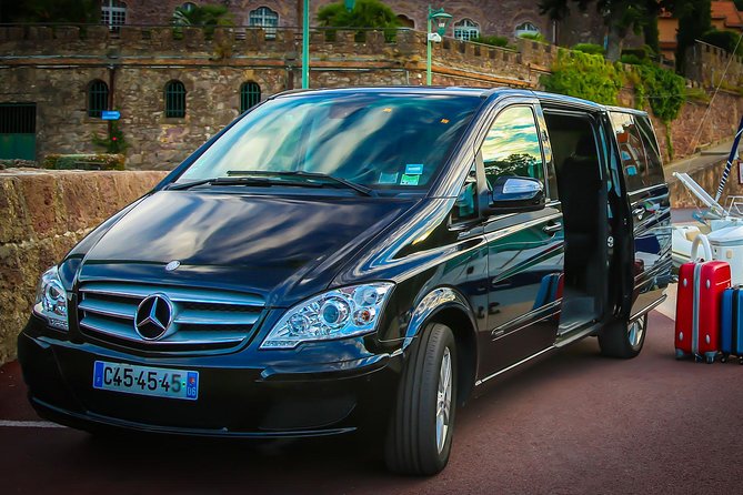 Private Transfer from Paris to Disneyland (One way) - Key things to know before you go