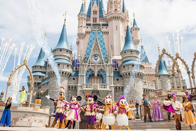 Private Transfer from Paris to Disneyland (One way) - The ride itself: private comfort, air-conditioning, and real luggage space