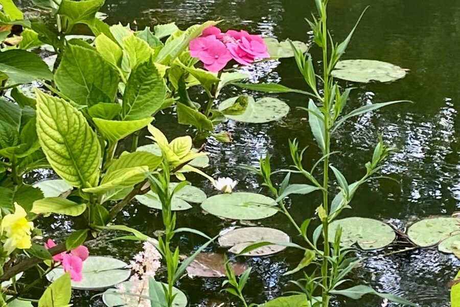 Private Trip Giverny Versailles Trianon from Paris - Free time in Giverny village: where you can slow down