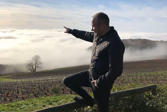 Private Trip: Tour in Epernay & Champagne Tastings from Paris - The elevated viewpoint stop: connecting vines to what you tasted