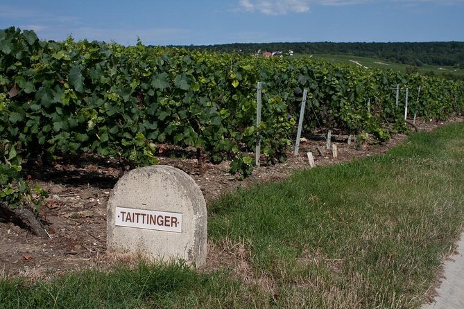 Private wine tour to Champagne region from Paris - Key things to know before you go