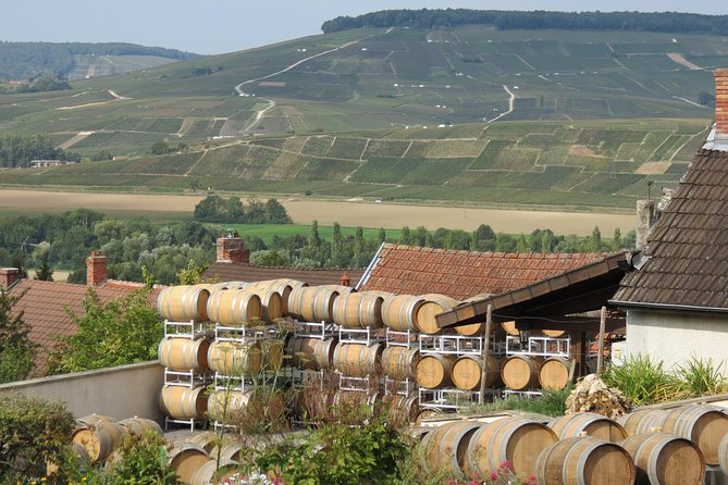 Private wine tour to Champagne region from Paris - Reims Cathedrale Notre-Dame: kings, crowns, and a quick reset
