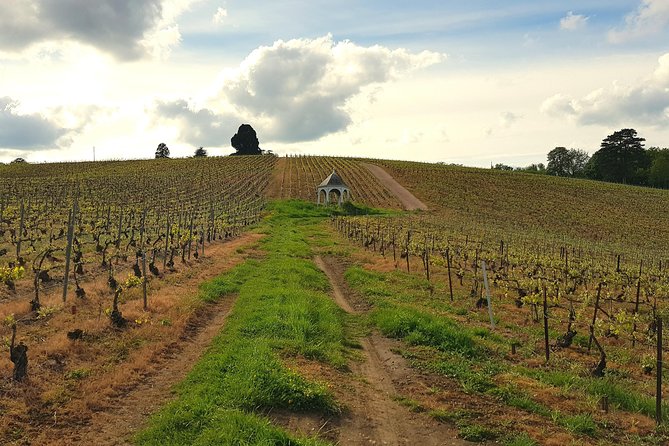 Private wine tour to Champagne region from Paris - Champagne Taittinger: oldest cellars + tastings that match your mood