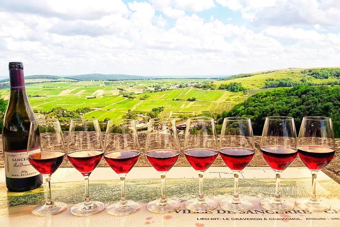 Private wine tour to Sancerre vineyards from Paris with Sommelier - Quick hits before you go