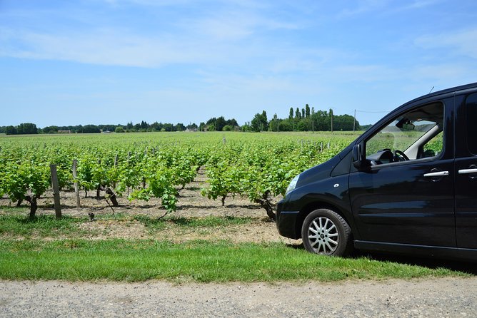 Private wine tour to Sancerre vineyards from Paris with Sommelier - Winery Visit #1: Cellars, Tastings, and Sauvignon-Pinot Pairing Logic