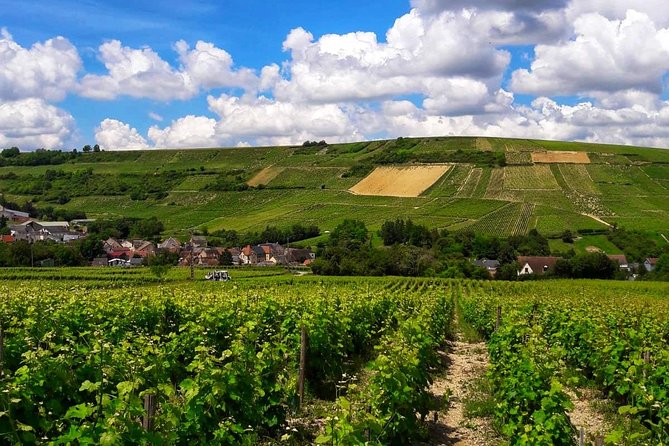 Private wine tour to Sancerre vineyards from Paris with Sommelier - Chavignol Goat Cheese: The Pairing Moment You’ll Actually Remember