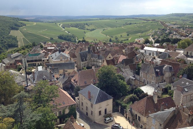 Private wine tour to Sancerre vineyards from Paris with Sommelier - Stop in Sancerre: Roman-Founded Village Vibes and Vineyard Views