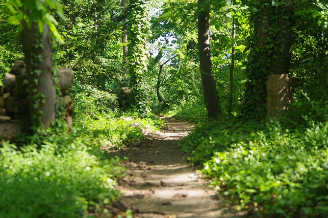 Roots the Path of the Last Table - Key highlights you should know before you go