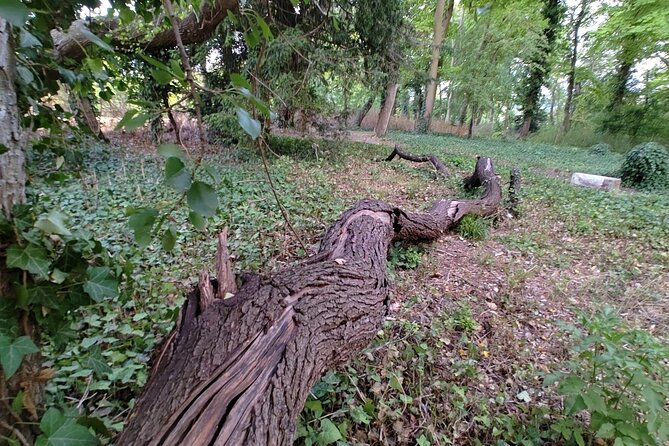 Roots the Path of the Last Table - Who this tour fits best