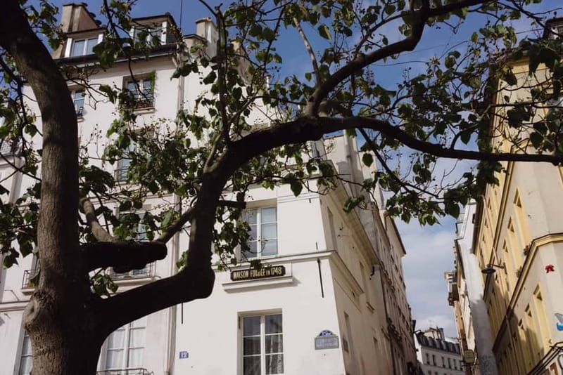 Secrets of Paris Bike Tour in English or Dutch - From the Eiffel Tower to the Seine: How the Route Sets the Mood