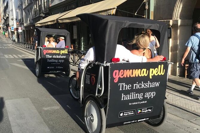Sightseeing tour of most iconic parisian monuments (rickshaw) - Who should book this rickshaw highlights tour