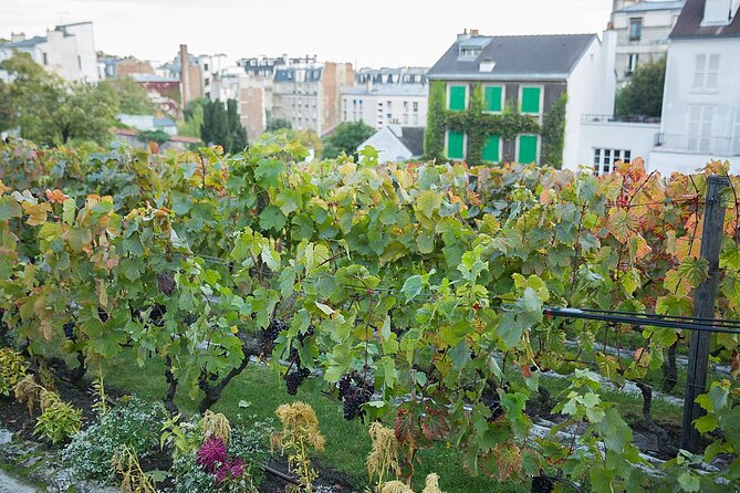 Small group visit to the Montmartre district in Italian - Pink House, windmills, and Dalida’s corner of Montmartre