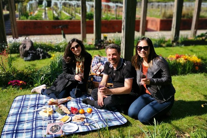 Stroll a Local French market & have a picnic - Picnic on a blanket with complimentary wine (and the cold-weather fallback)