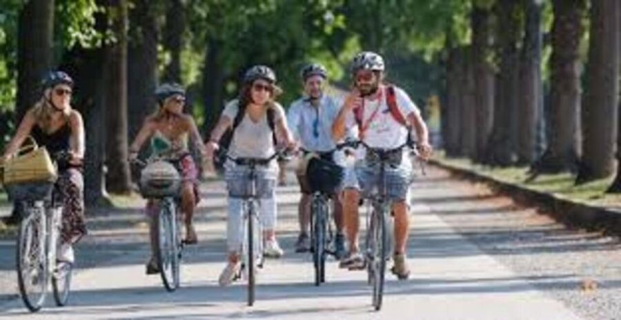 The Best of Paris by Bike with a Local - Pont des Arts to Cour Carrée: quick orientation before the big landmarks