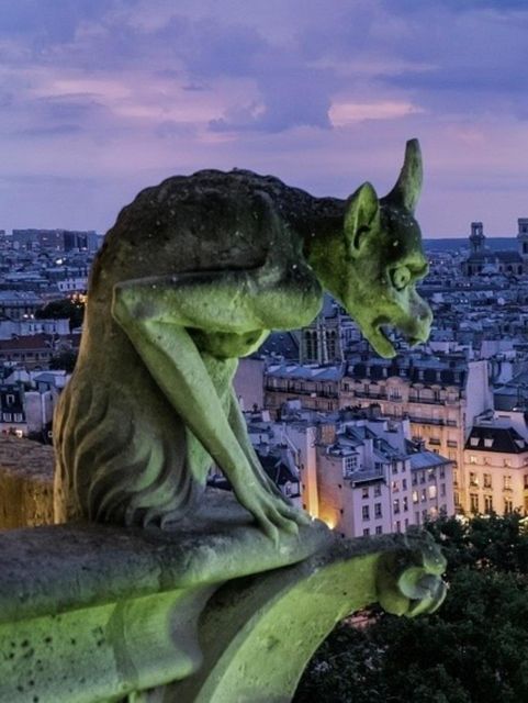 The Haunted Paris Experience - Why This Ghost Walk Feels Different From a Standard Night Tour