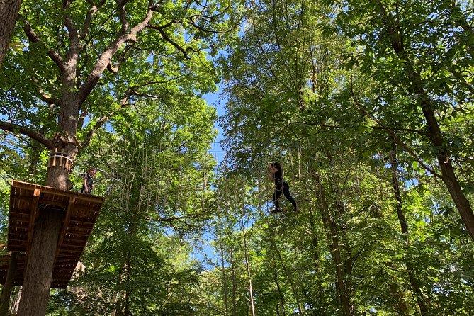 Tree Top Adventure in Forest of Meudon - Key points to know before you go