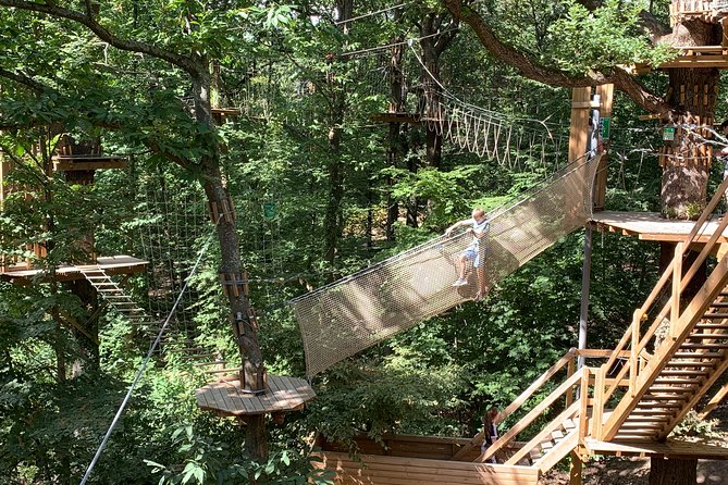 Tree Top Adventure in Forest of Meudon - Service quality: what’s working well and what to watch for