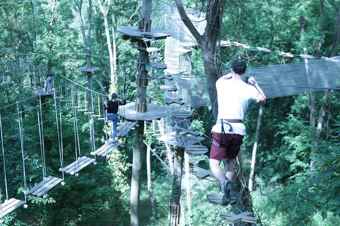 Tree Top Adventure in Rueil-Malmaison - Key things to know before you climb