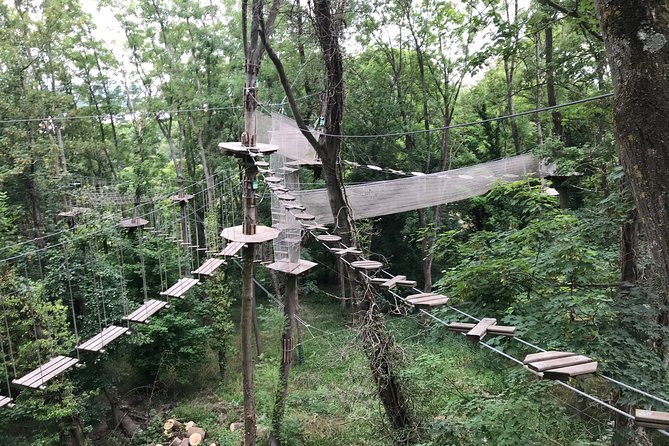 Tree Top Adventure in Rueil-Malmaison - Small group energy at AccroCamp (up to 10)