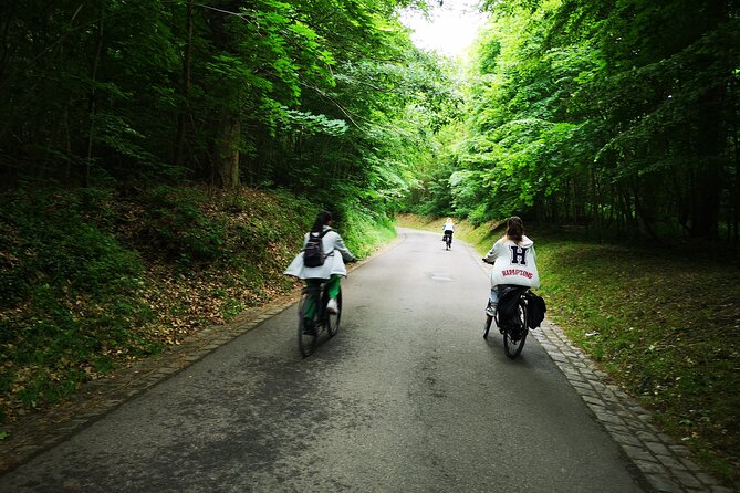 Versailles Full-Day Electric Bike Tour : Market, Picnic & Palace - The big route: from Saint-Cloud views to Marnes-la-Coquette and forest paths