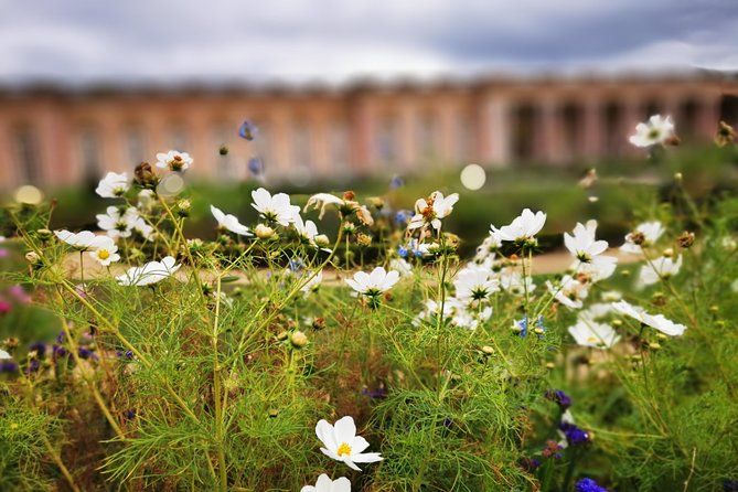 Versailles Full Day Private Guided Tour with Hotel Pickup - Timing and pacing: what an 8-hour day really means