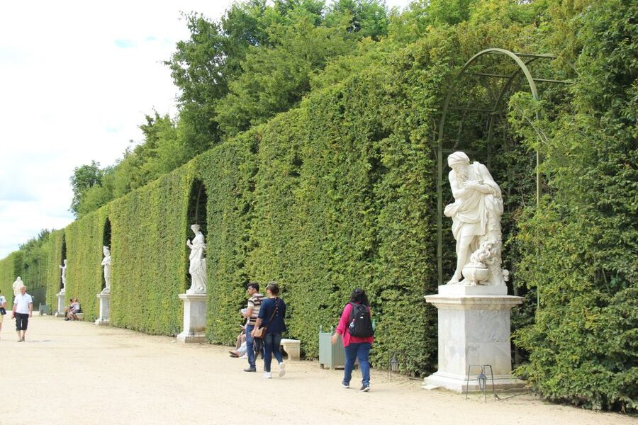 Versailles: Garden Private Guided Tour & Palace Entry Ticket - Neptune, Mirror Pool, and the design logic you’ll notice afterward