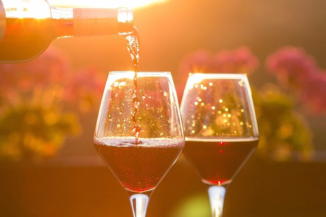 Vineyard tour and wine tasting in Davron - What the tasting stages teach you (so the wine makes sense)