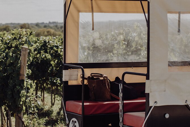 Vineyard tour and wine tasting in Davron - Timing, weather, and what to wear for an outdoor vineyard visit