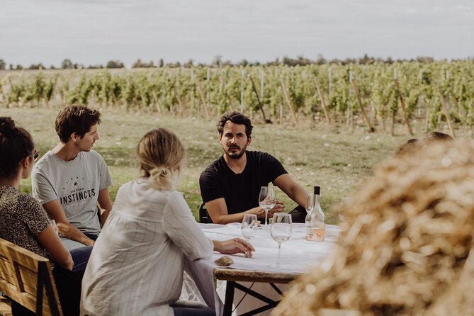 Vineyard tour and wine tasting in Davron - Who this tour is best for (and who should skip it)