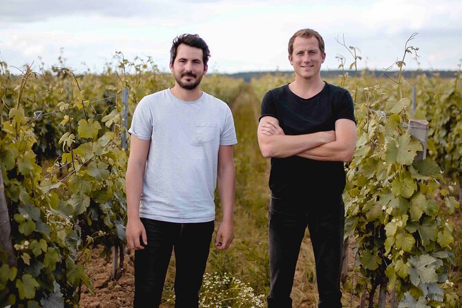 Vineyard tour and wine tasting in Davron - Should you book this vineyard tour and wine tasting in Davron?