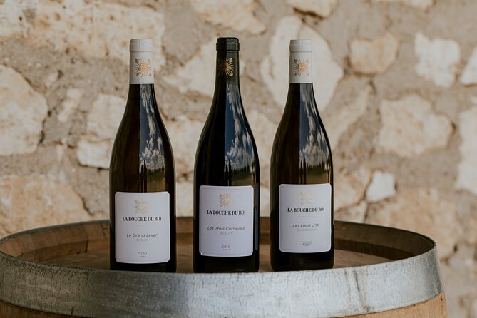 Vineyard tour and wine tasting in Davron - The 1h30 itinerary: from vineyard walk to tasting 3 vintages