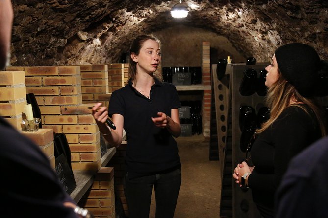 VIP Champagne Region Day Trip with 7 Tastings & Lunch from Paris - What You Get From the 7 Tastings (and How to Taste Better)