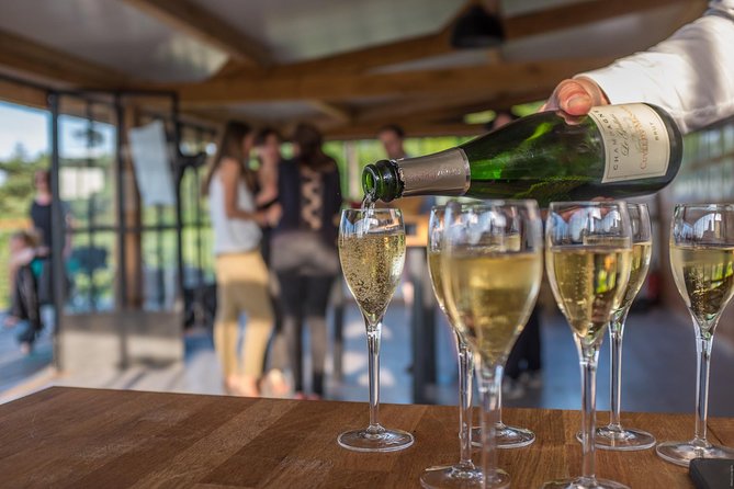 VIP Champagne Region Day Trip with 7 Tastings & Lunch from Paris - Getting There Without Losing Your Whole Day