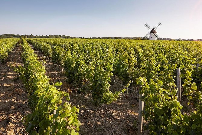 Wine tasting tour in Loire Valley with castle visits and lunch - Lunch in the Loire: Optional, But Usually the Best Upgrade