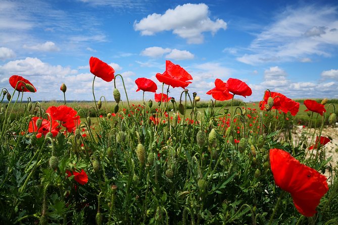 WW1 Australians in the Somme -Villers Bretonneux, Le Hamel - Day trip from Paris - Stop 2: Le Hamel and the Australian Corps Memorial