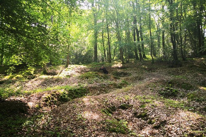 WW1 Belleau Wood and American Monument in Château-Thierry - Day trip from Paris - Devil Dog Fountain: a fast stop that sticks with you