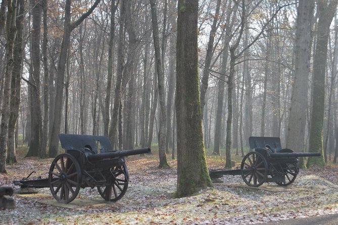 WWI Belleau Wood & Meaux Museum of the Great War Private Day Trip from Paris - What to expect on the ground: walking, timing, and lunch choices