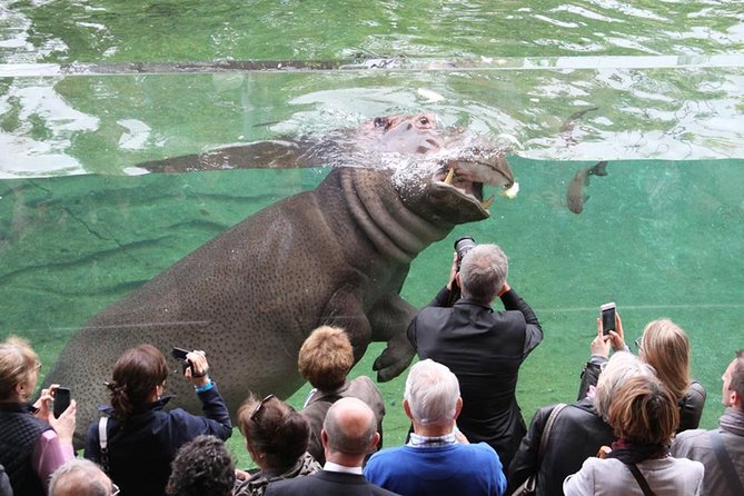 Zoo Of Beauval - Private Trip - A practical game plan for your Beauval day